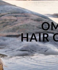 Ombre-Hair-colour-1